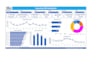 create a professional excel dashboard for your business